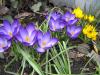 IMG_6995.jpg