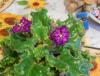 DSCN01981.JPG