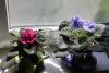 IMG_9349-1.JPG