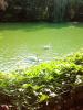 IMG_08-08-2012_091705.jpg