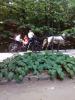 IMG_09-08-2012_134725.jpg