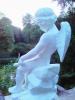 IMG_08-08-2012_203701.jpg