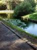 IMG_09-08-2012_104135.jpg