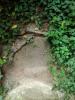 IMG_07-08-2012_191339.jpg