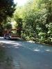 IMG_09-08-2012_102759.jpg