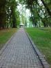 IMG_07-08-2012_185511.jpg