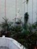 IMG_08-08-2012_151221.jpg